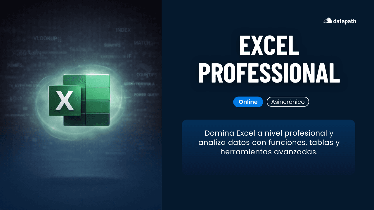 Excel Professional